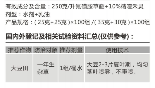 盈輝豆禾諧