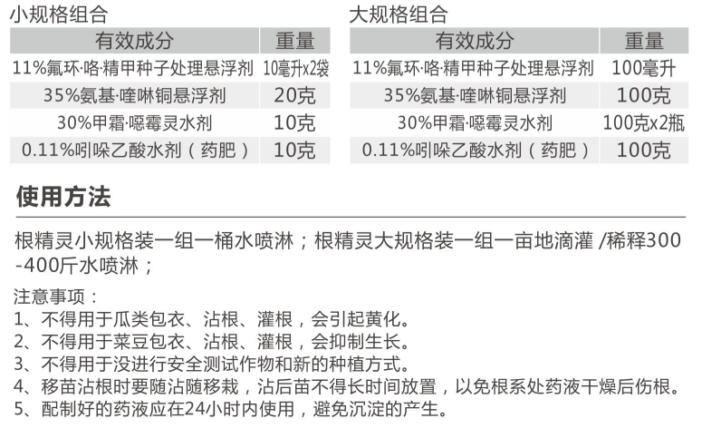 根精靈