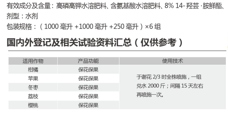 寶果速